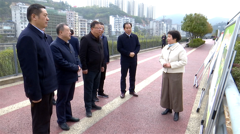 省住建厅厅长韩一兵来旬阳市调研